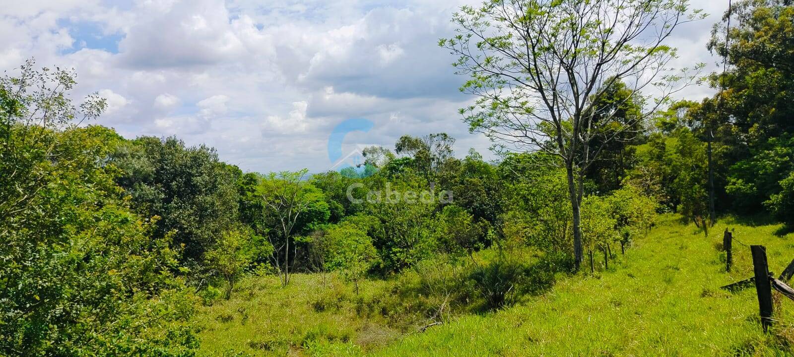 Sítio, 2 quartos, 5000 m² - Foto 6