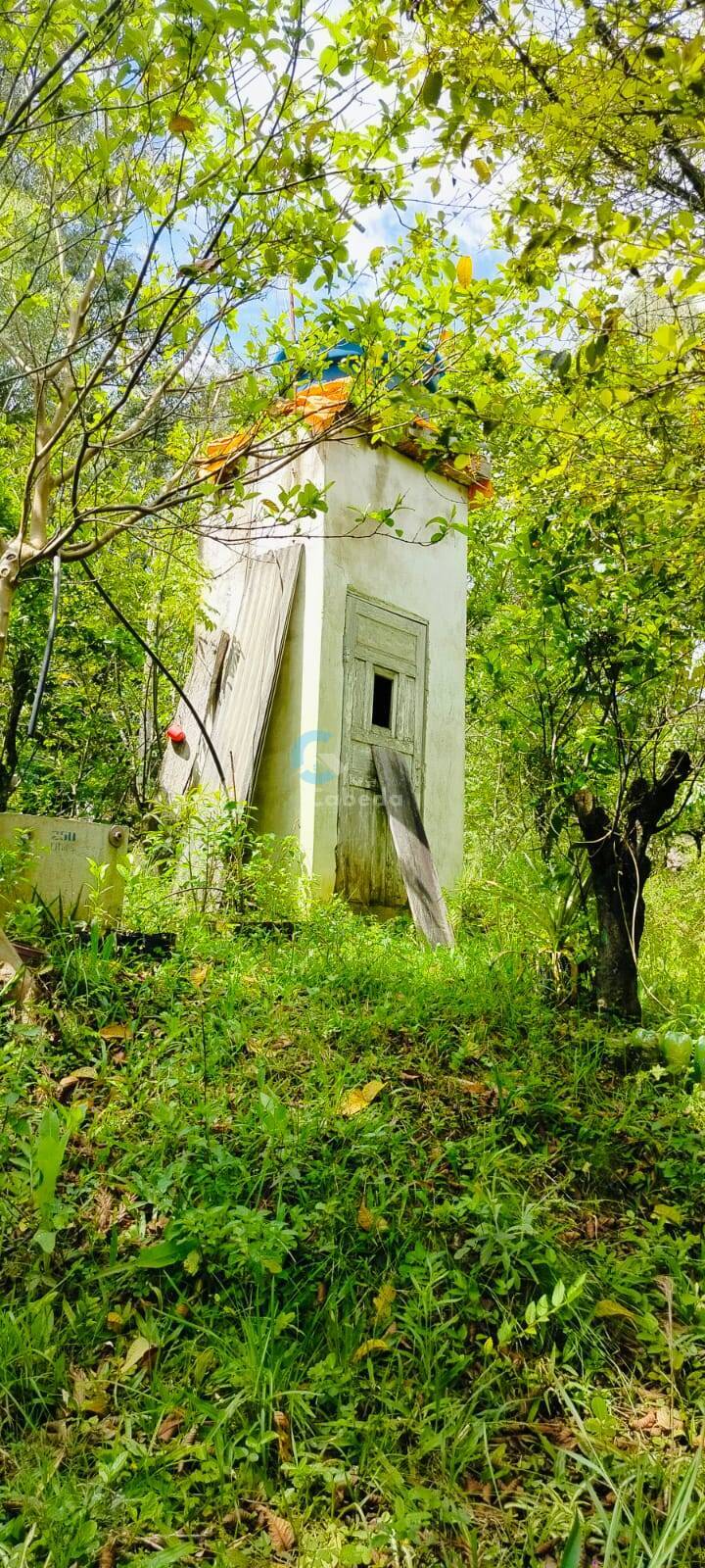 Sítio, 2 quartos, 5000 m² - Foto 9