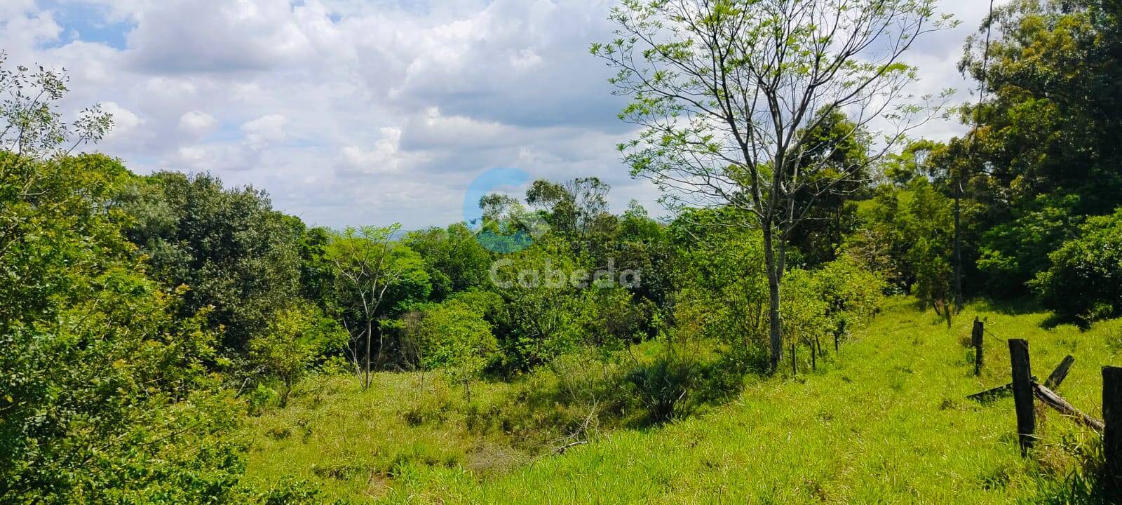 Sítio, 2 quartos, 5000 m² - Foto 11