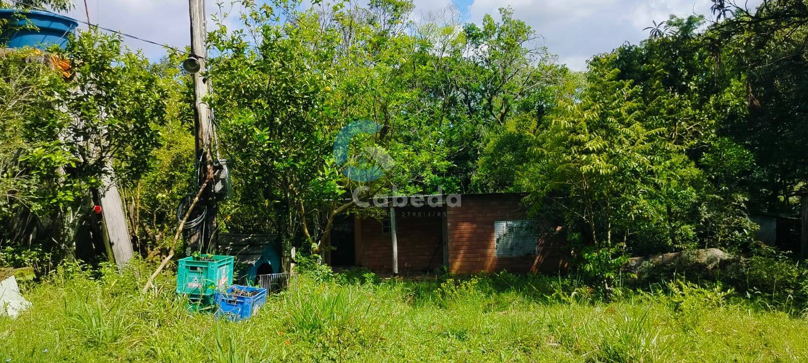 Sítio, 2 quartos, 5000 m² - Foto 10