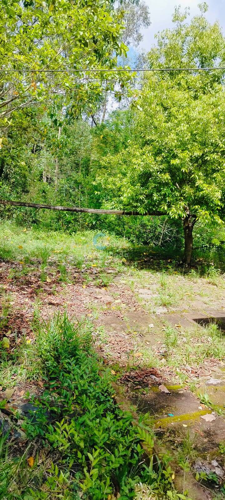 Sítio, 2 quartos, 5000 m² - Foto 13