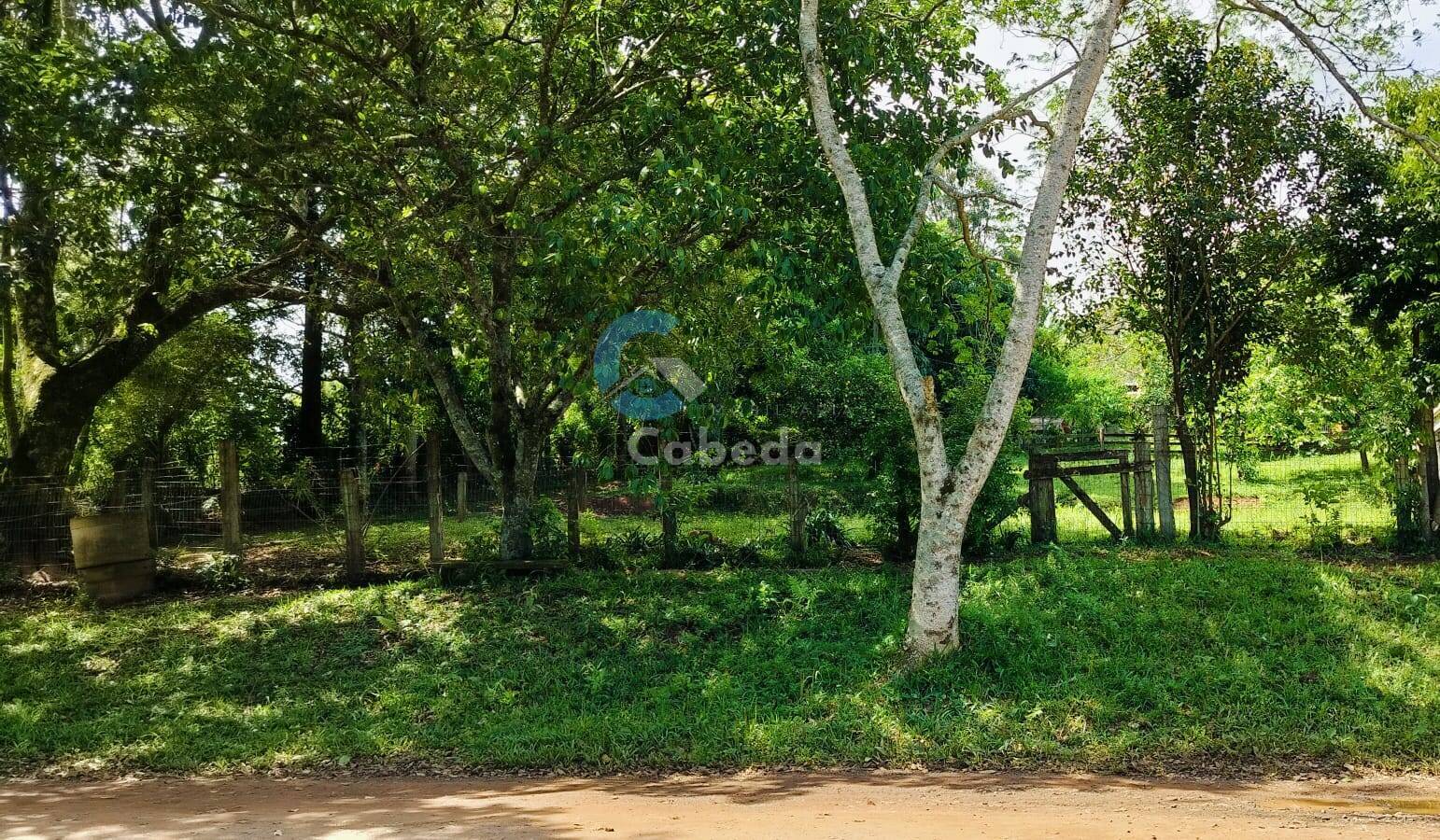 Terreno, 300 m² - Foto 3