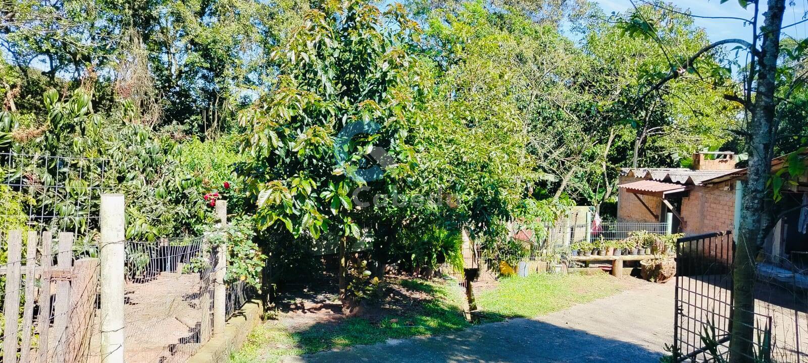 Chácara, 2 quartos, 2270 m² - Foto 2