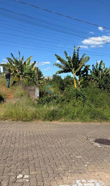 Terreno, 354 m² - Foto 1