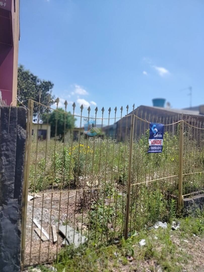 Terreno, 300 m² - Foto 2