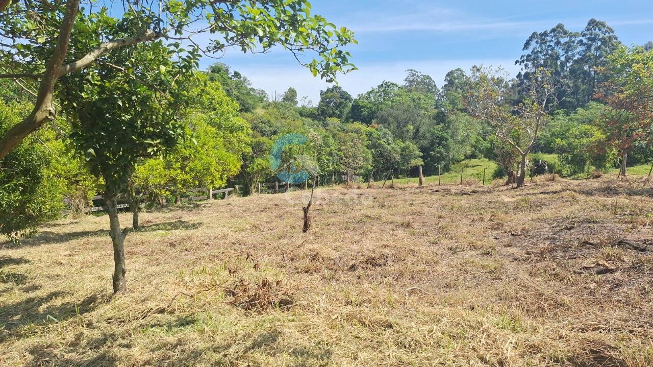 Terreno, 1250 m² - Foto 1