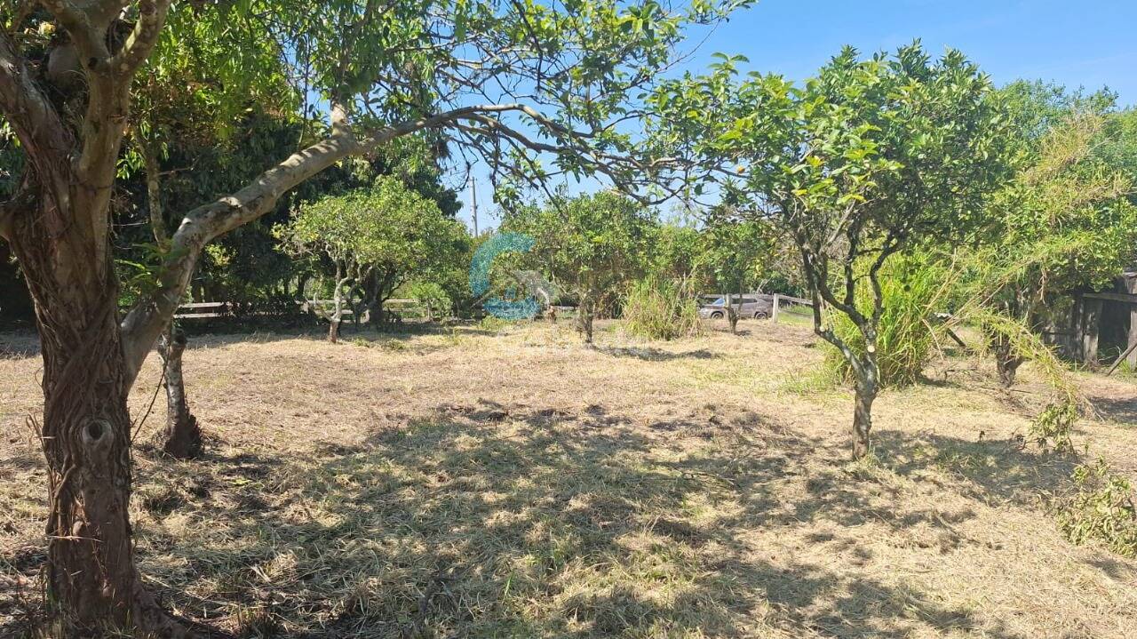 Terreno, 1250 m² - Foto 3