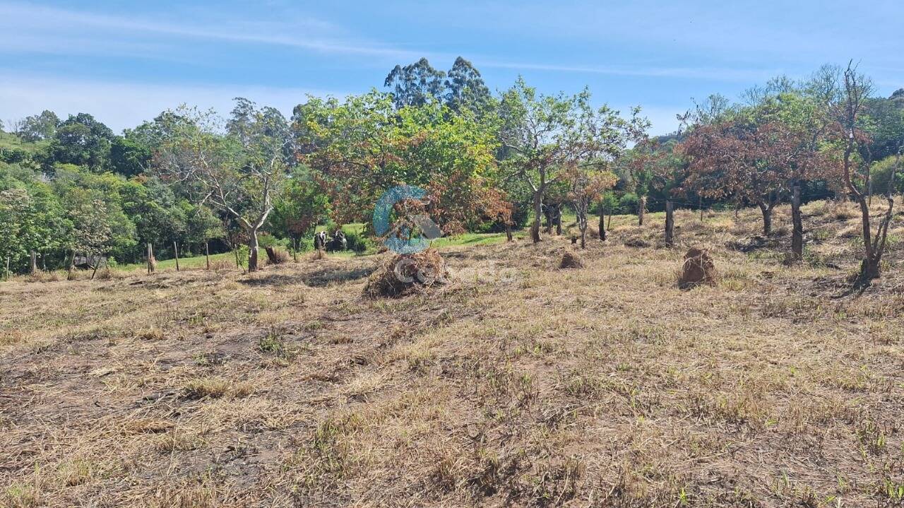 Terreno, 1250 m² - Foto 4