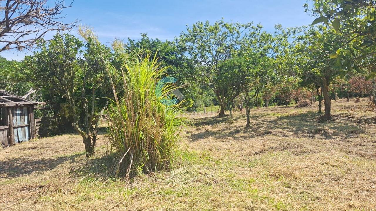 Terreno, 1250 m² - Foto 6