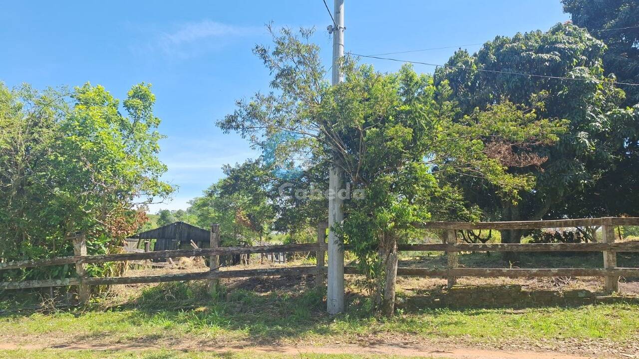 Terreno, 1250 m² - Foto 2