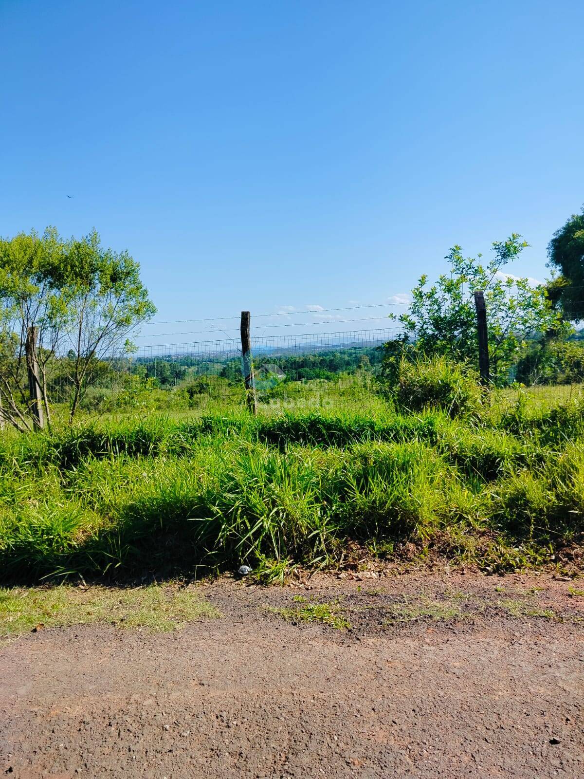 Terreno, 2 hectares - Foto 3