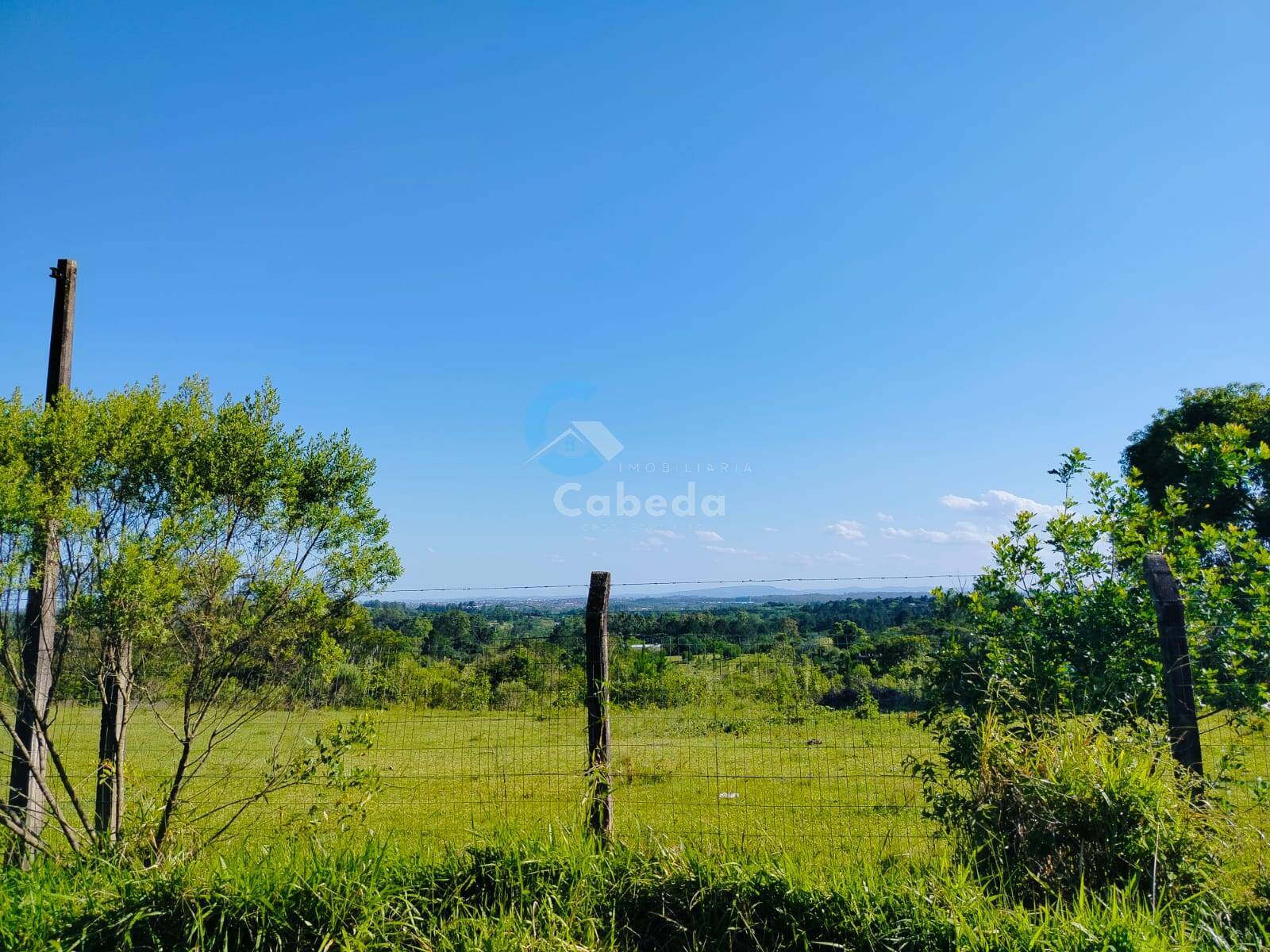 Terreno, 2 hectares - Foto 4