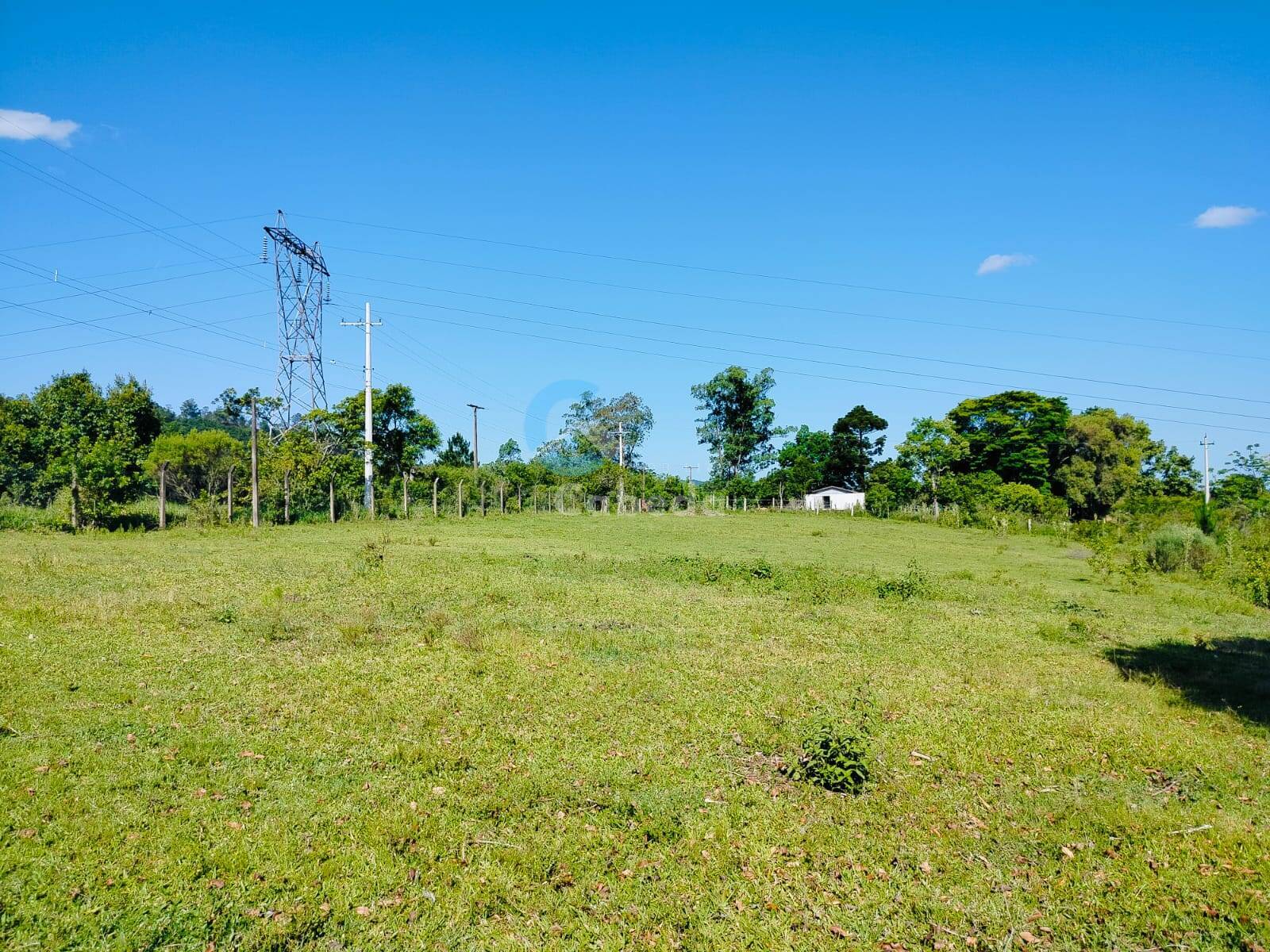 Terreno, 2 hectares - Foto 5