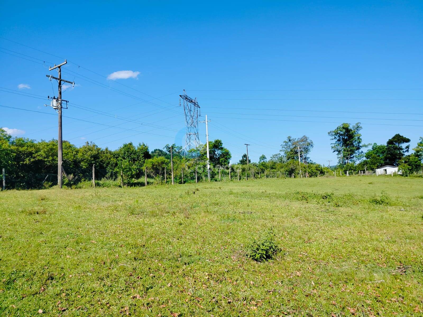 Terreno, 2 hectares - Foto 6