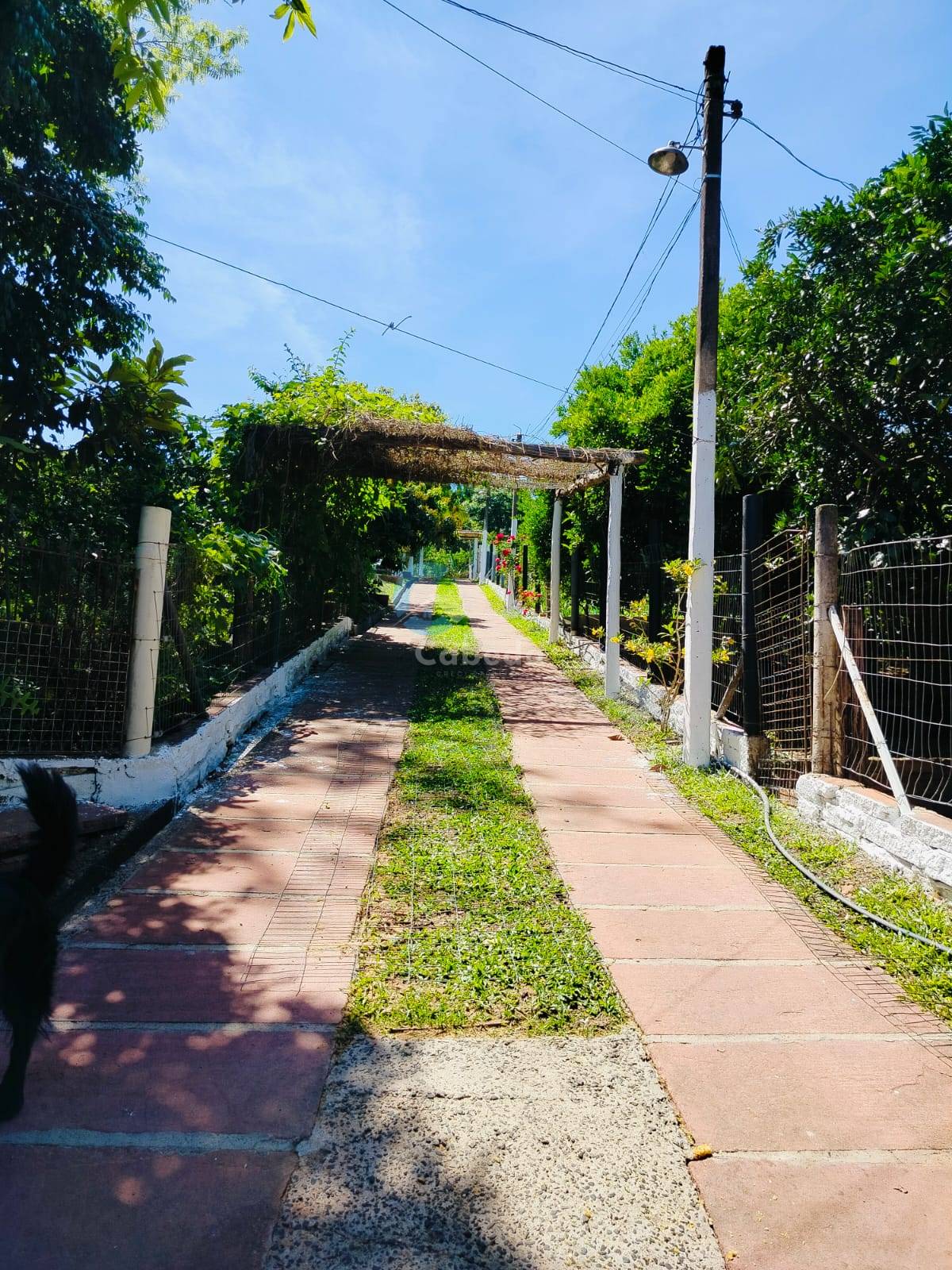 Chácara, 2 quartos, 2270 m² - Foto 4