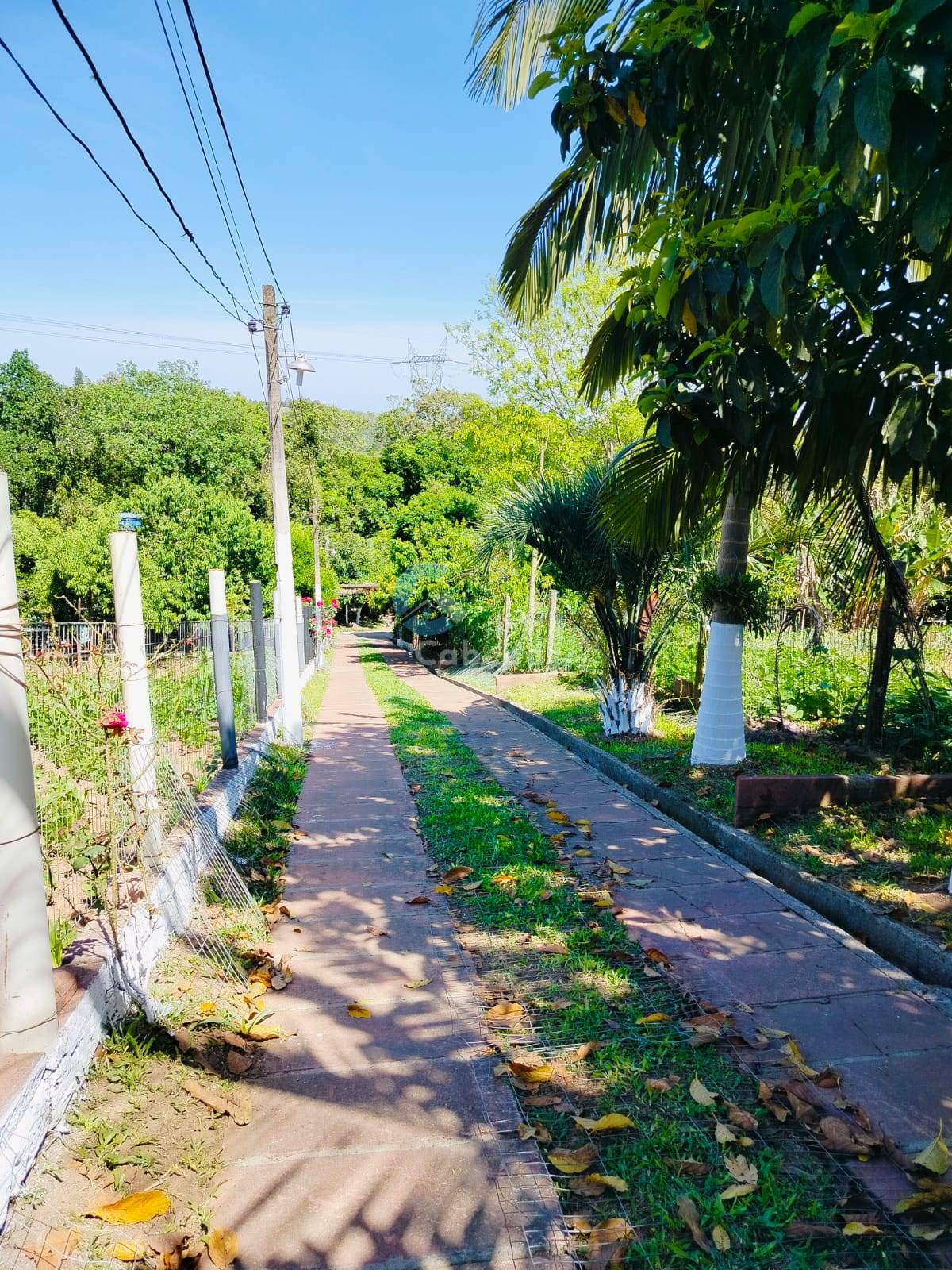 Chácara, 2 quartos, 2270 m² - Foto 1