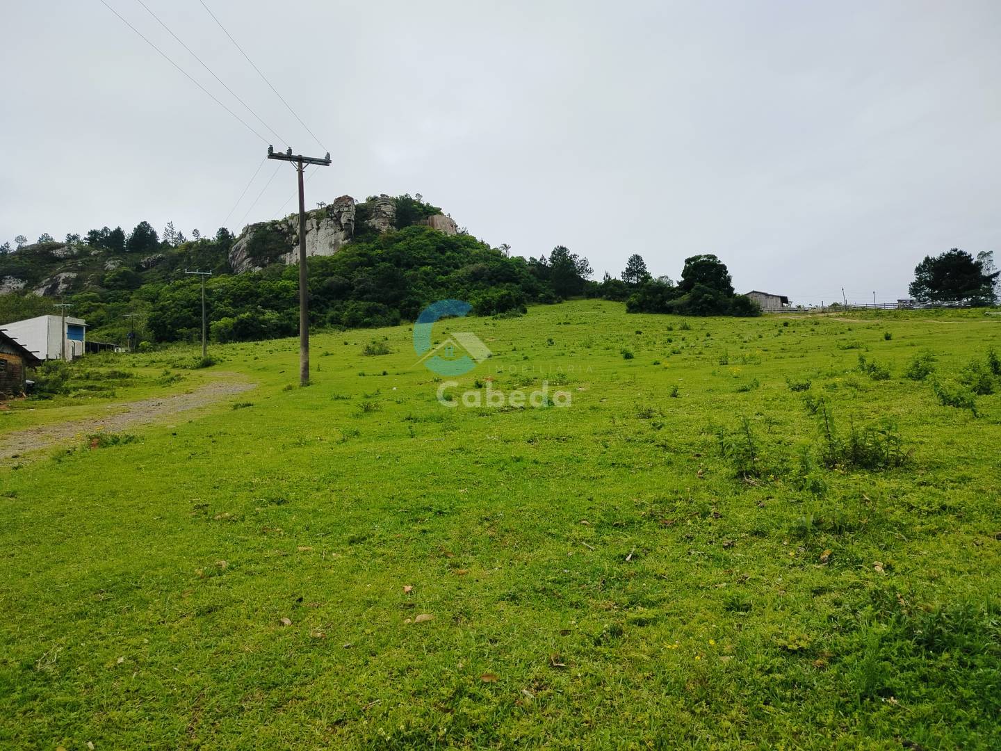 Terreno, 2 hectares - Foto 4