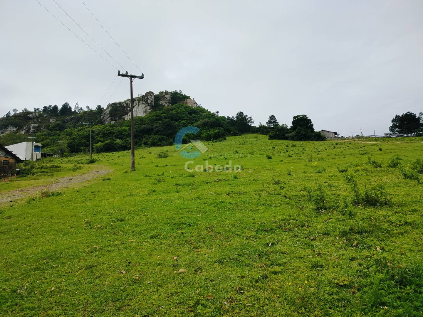 Terreno, 2 hectares - Foto 6