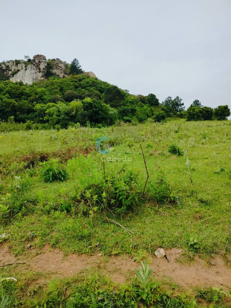 Terreno, 2 hectares - Foto 9