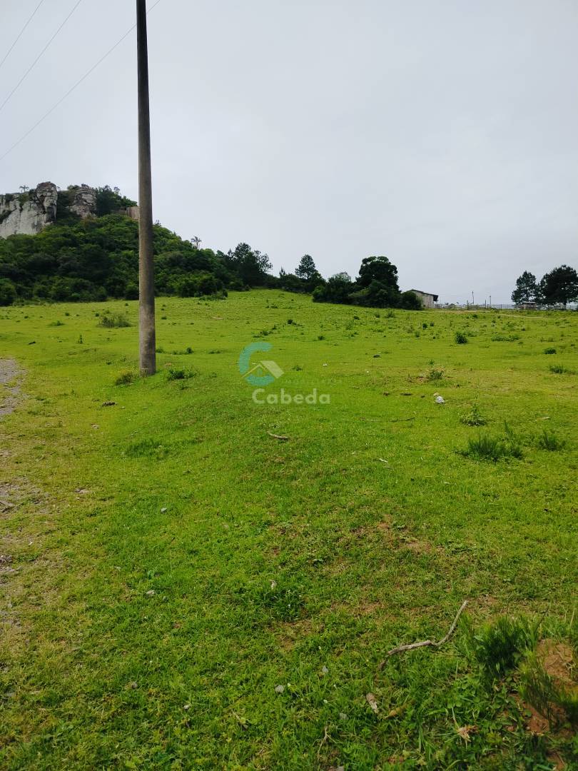 Terreno, 2 hectares - Foto 10