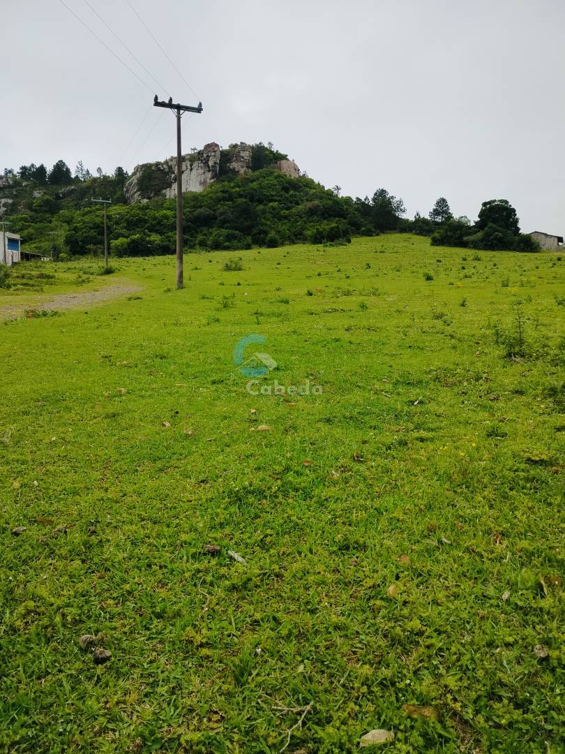 Terreno, 2 hectares - Foto 2