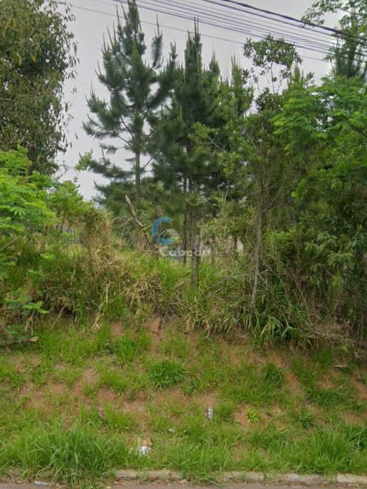 Terreno, 300 m² - Foto 1