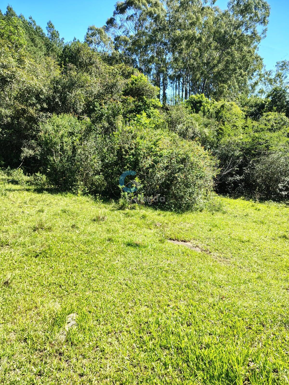 Terreno, 10 hectares - Foto 3