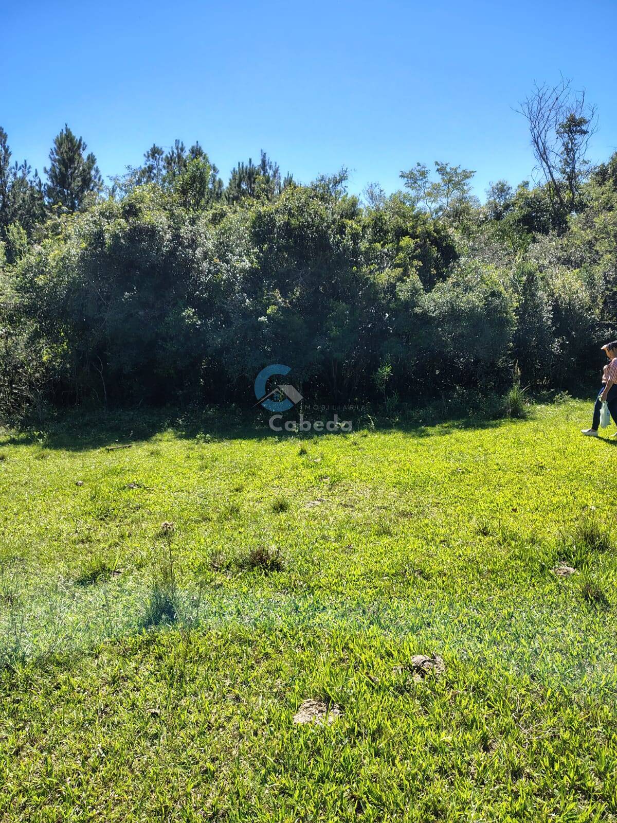 Terreno, 10 hectares - Foto 4