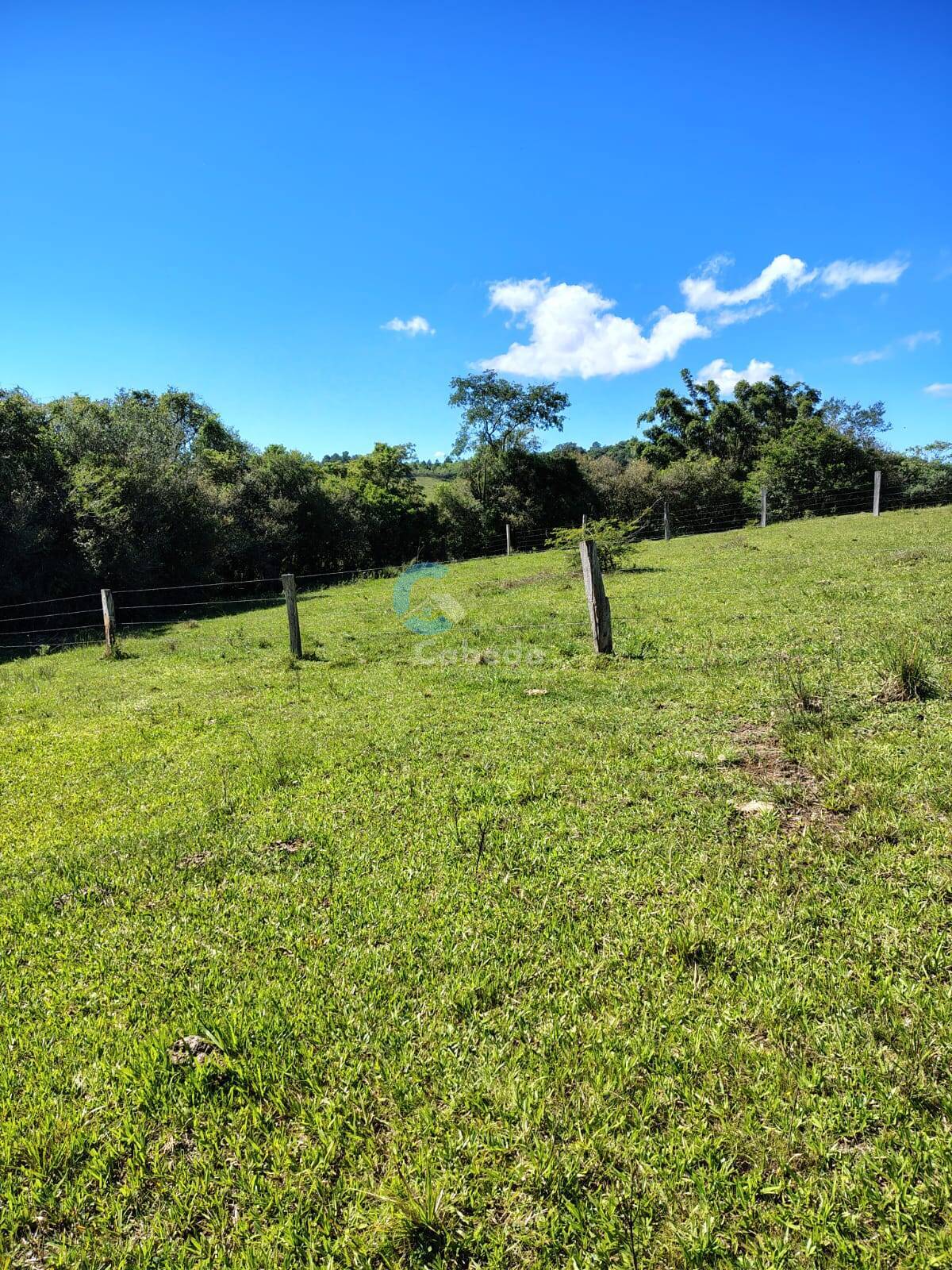 Terreno, 10 hectares - Foto 7