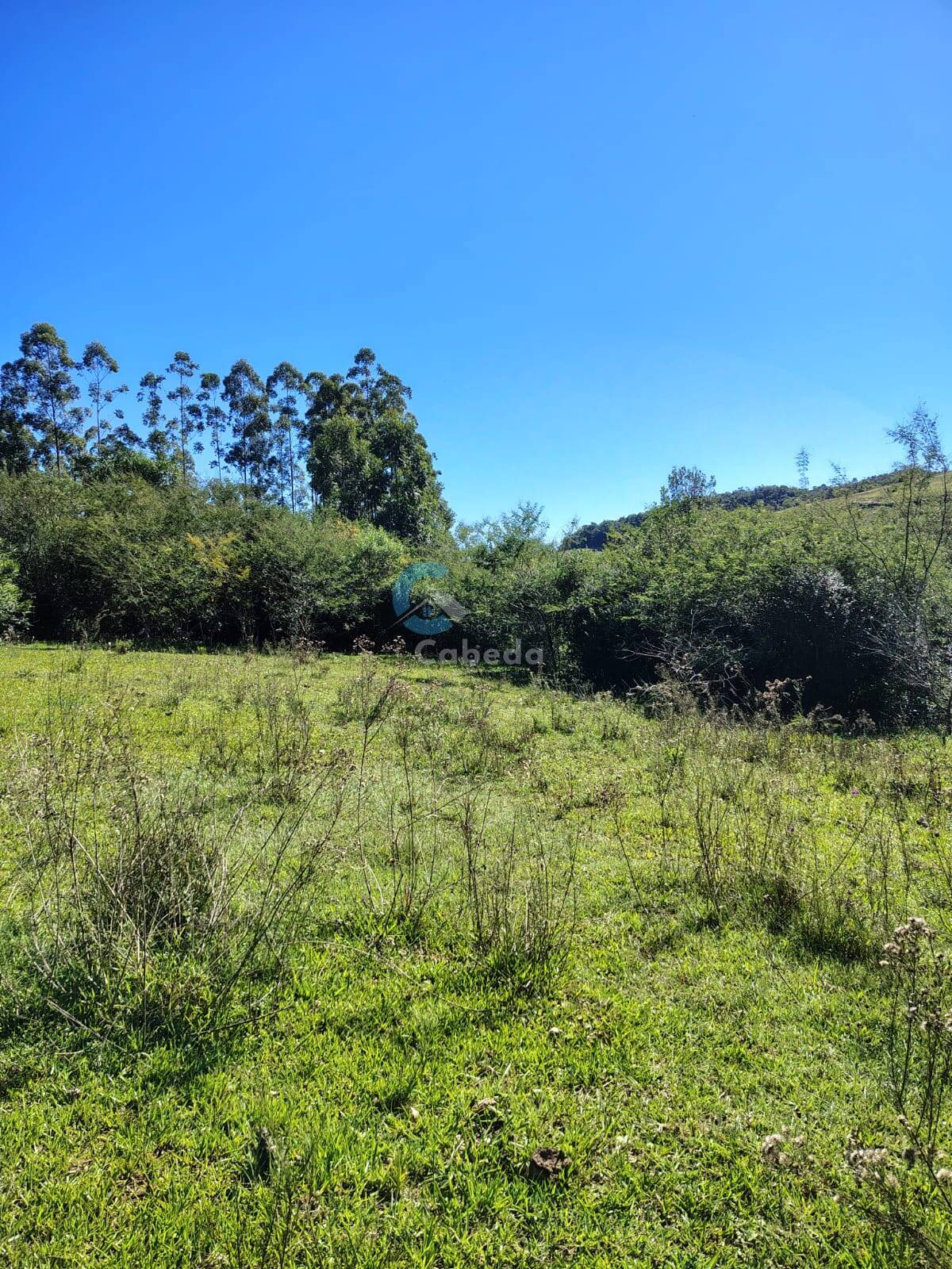 Terreno, 10 hectares - Foto 8