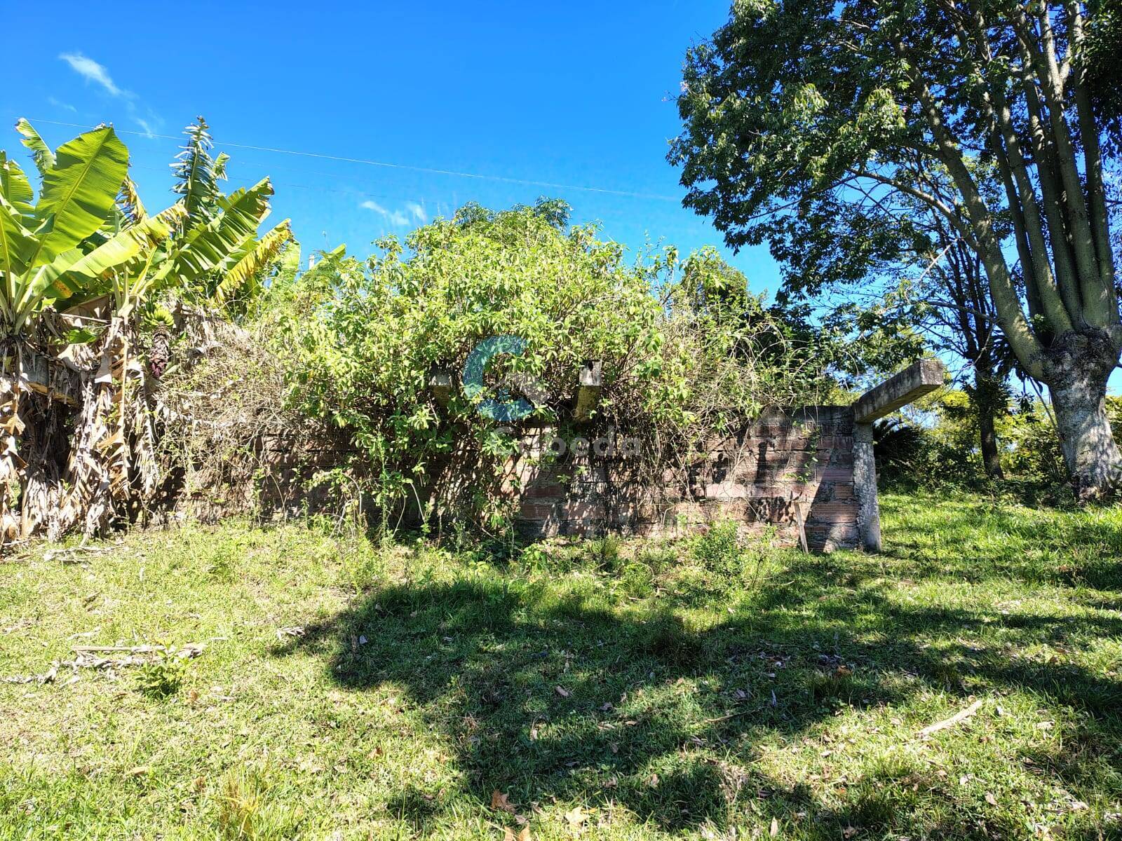 Terreno, 10 hectares - Foto 9