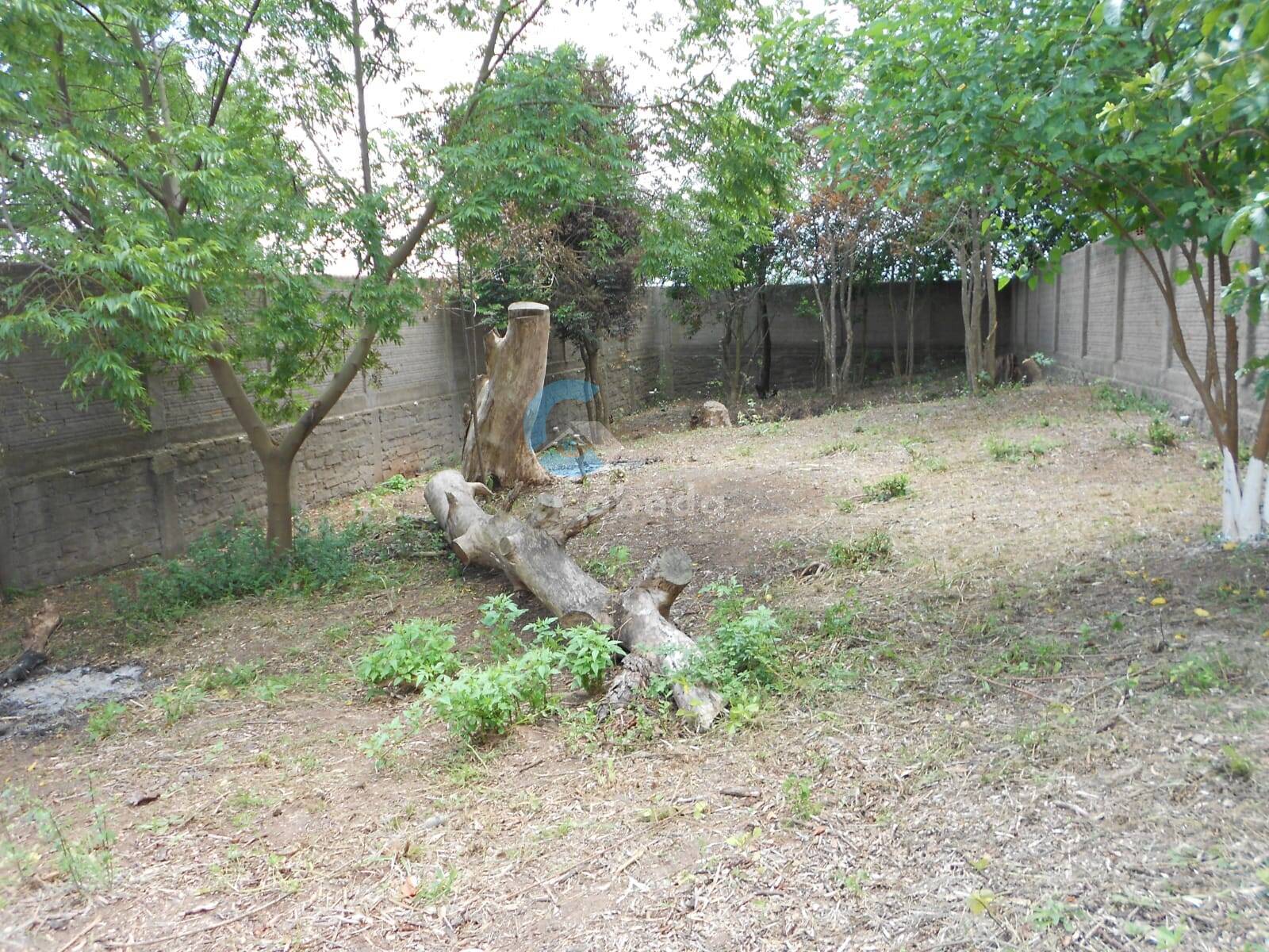 Terreno, 1415 m² - Foto 14