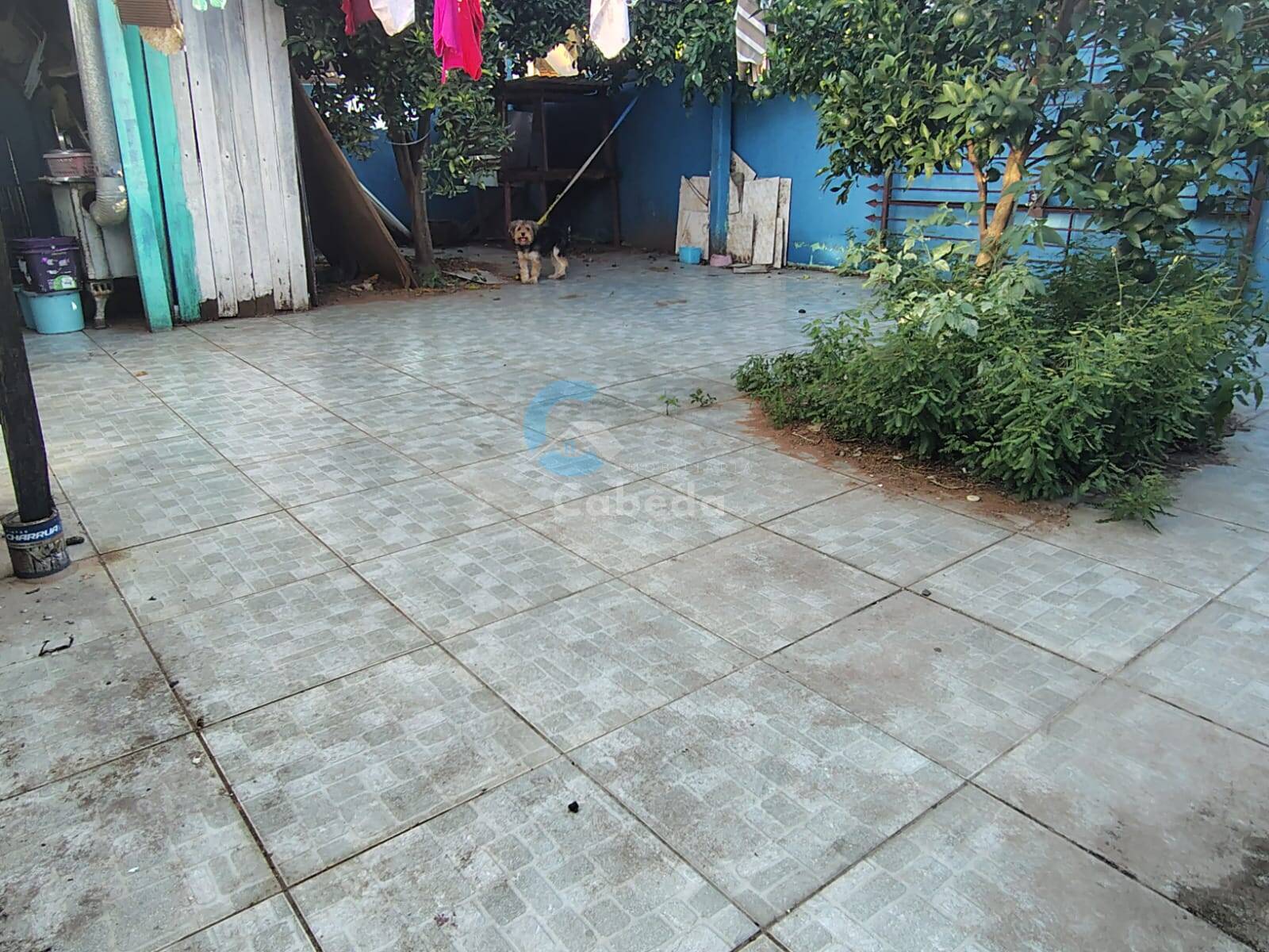 Casa, 3 quartos - Foto 13