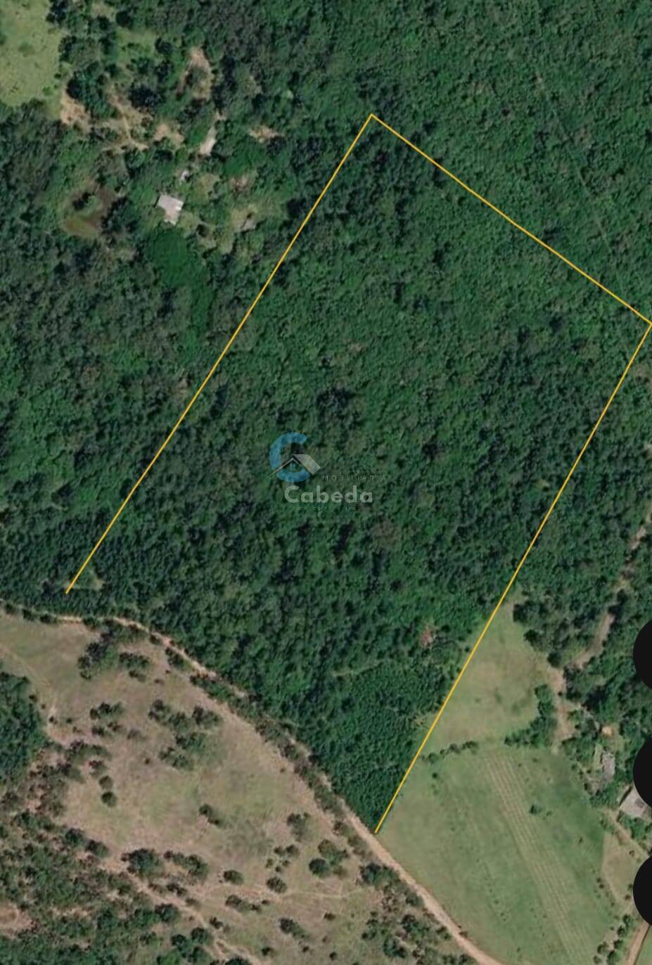 Terreno, 4 hectares - Foto 1