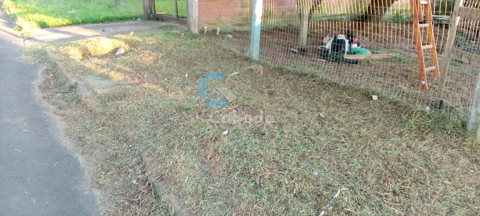 Terreno - Foto 3