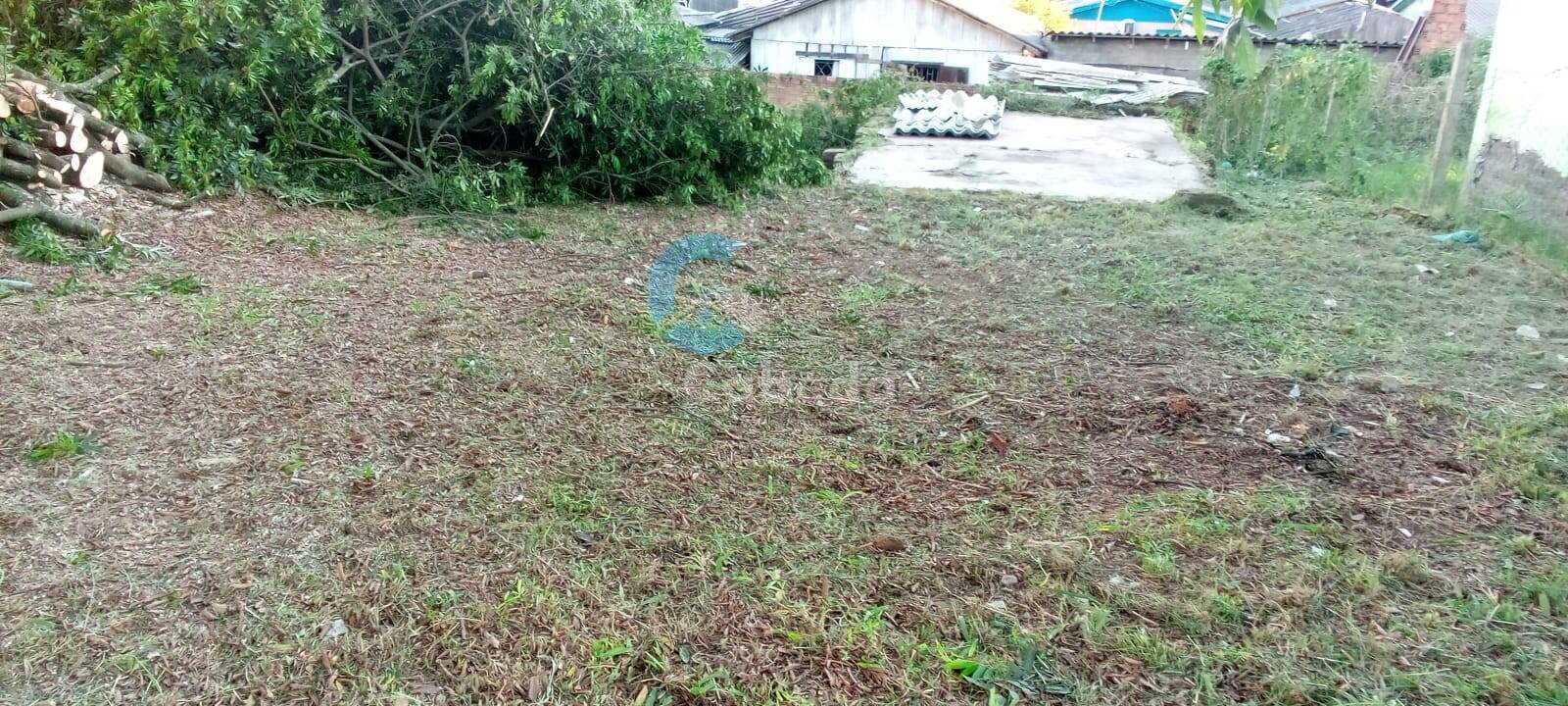 Terreno - Foto 4