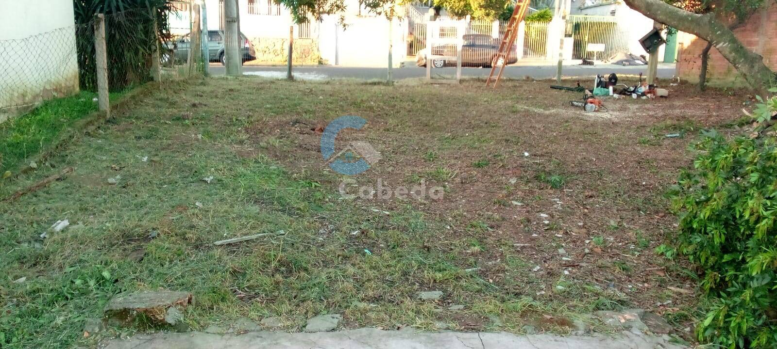 Terreno - Foto 6