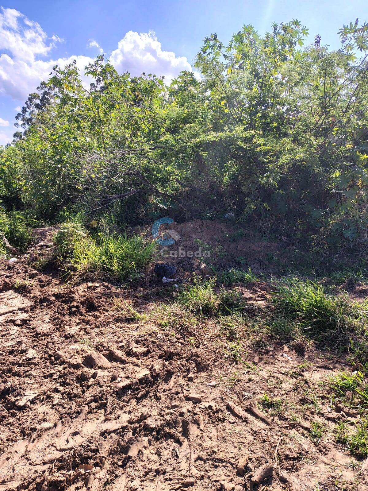Terreno, 5500 m² - Foto 2