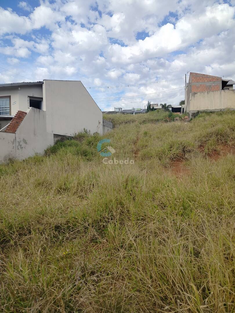 Terreno, 300 m² - Foto 1