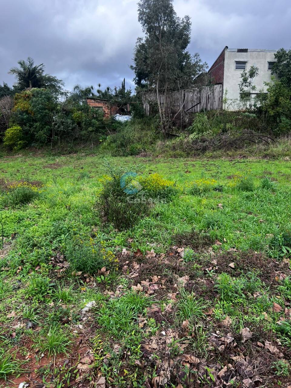 Terreno - Foto 3