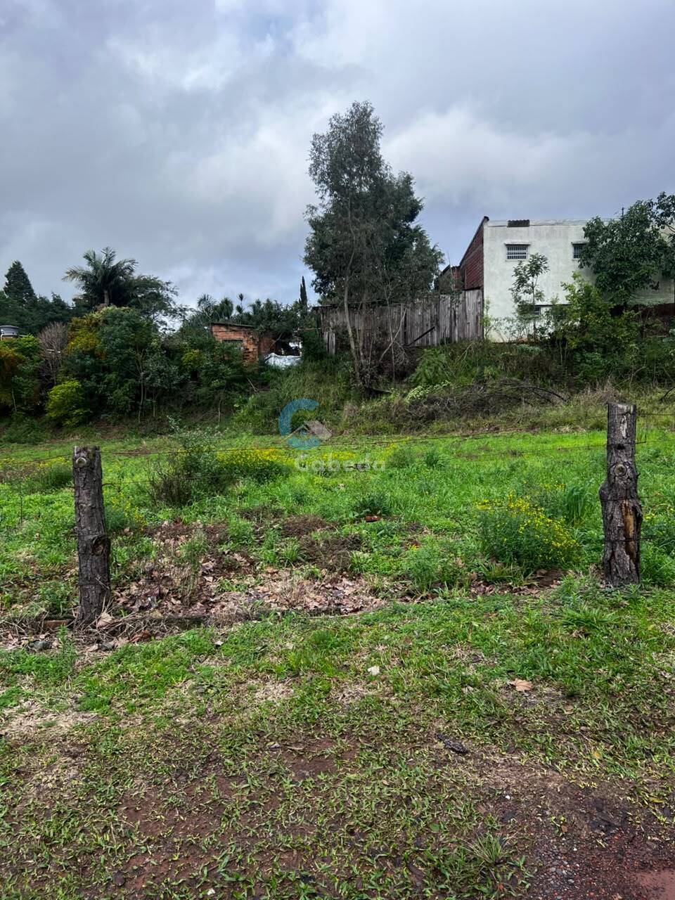 Terreno - Foto 4