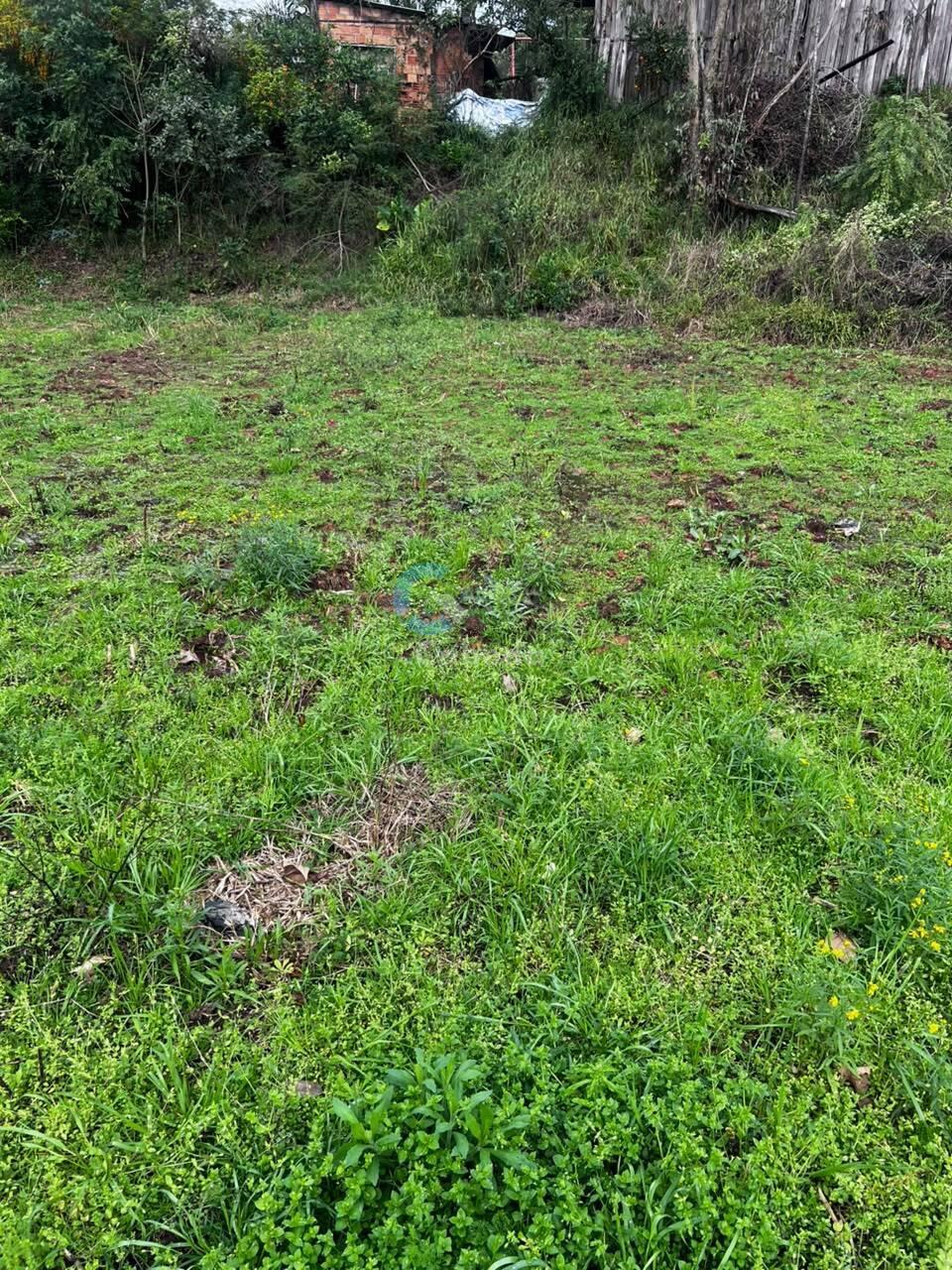 Terreno - Foto 5