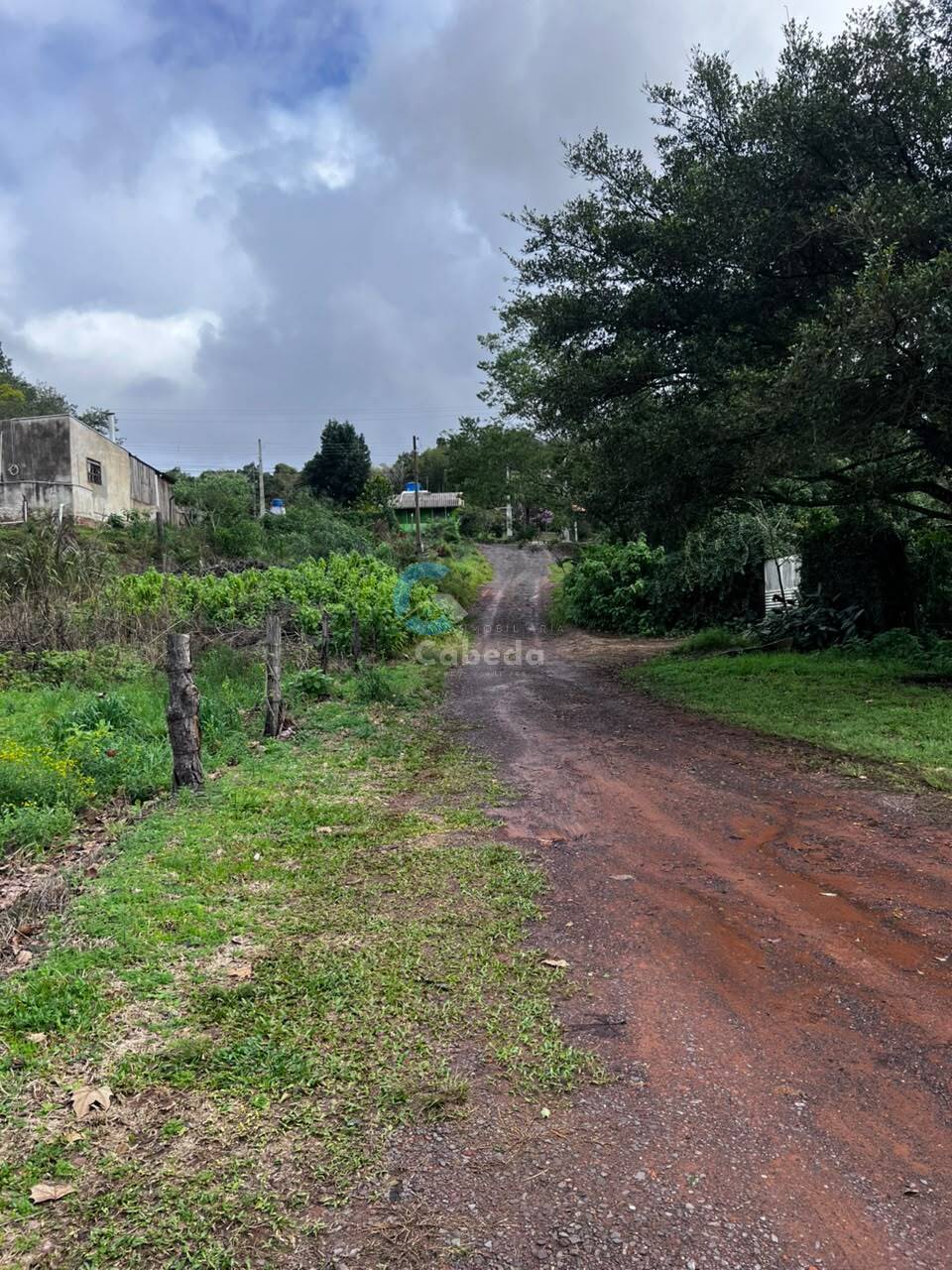 Terreno - Foto 6